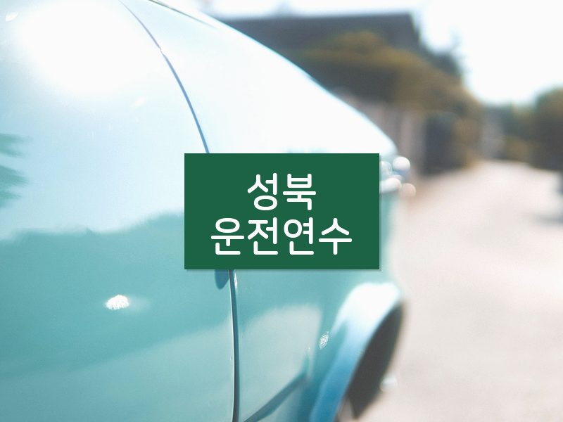성북운전연수 후기