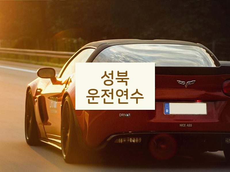성북운전연수 후기