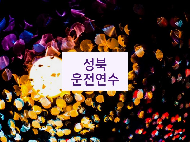 성북운전연수 후기