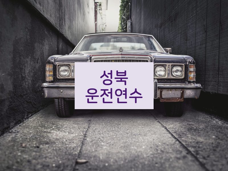 성북운전연수 후기