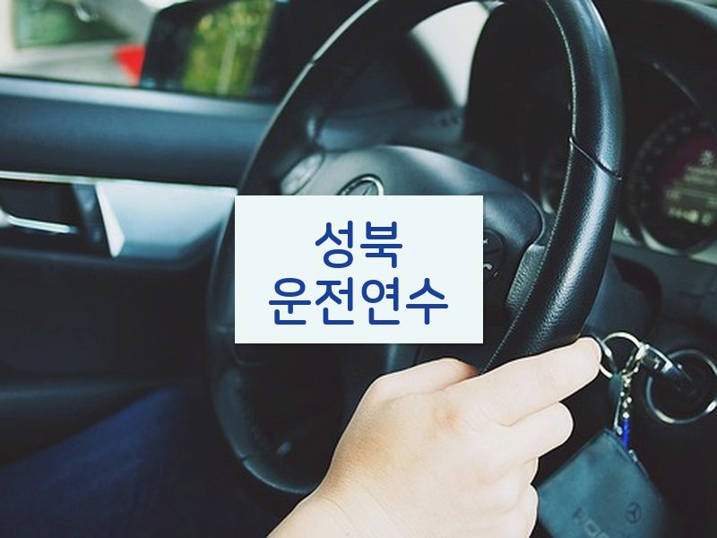 성북운전연수 후기