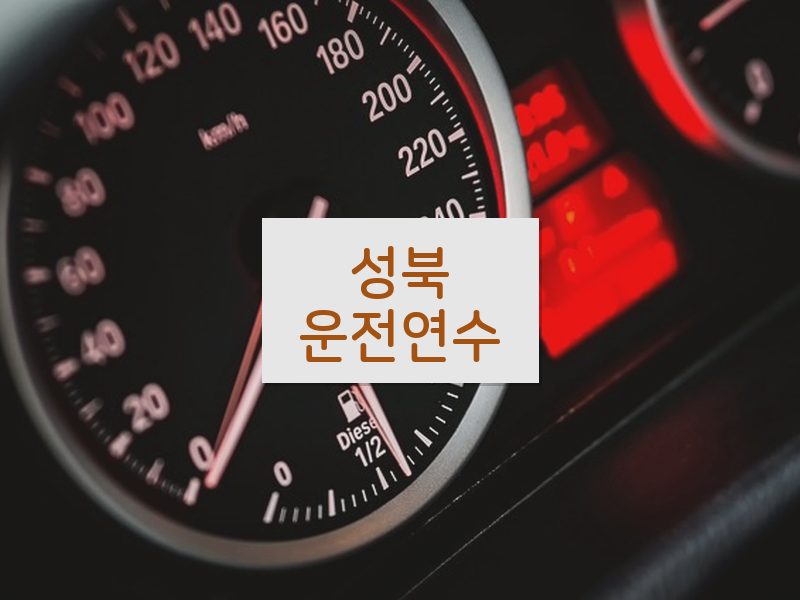 성북운전연수 후기