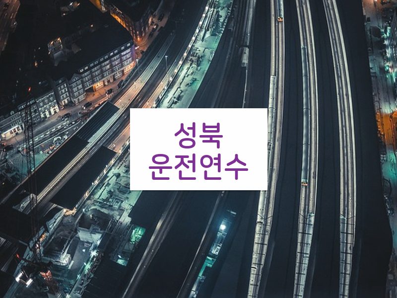 성북운전연수 후기