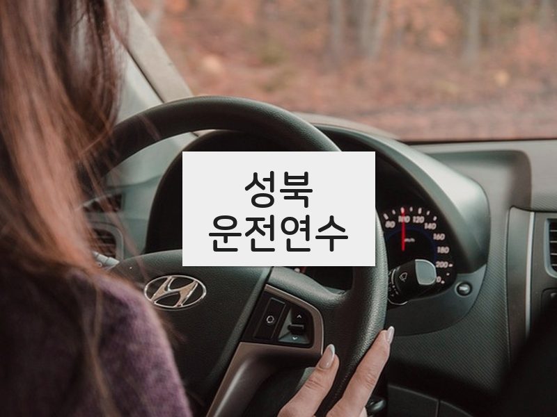 성북운전연수 후기