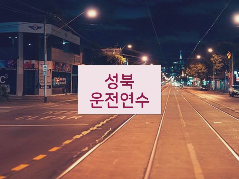 성북운전연수 후기