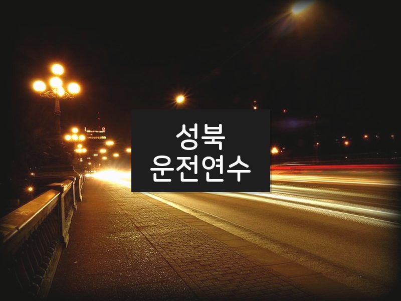 성북운전연수 후기