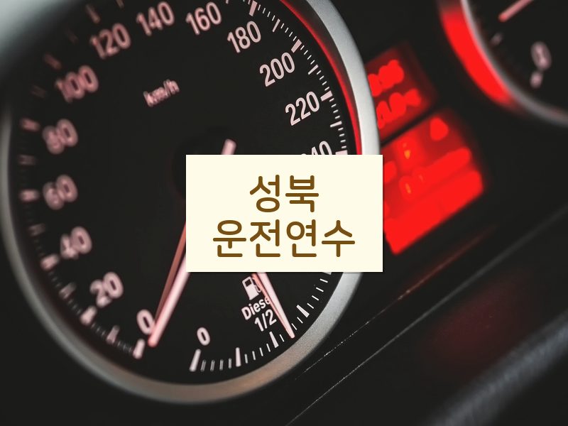 성북운전연수 후기