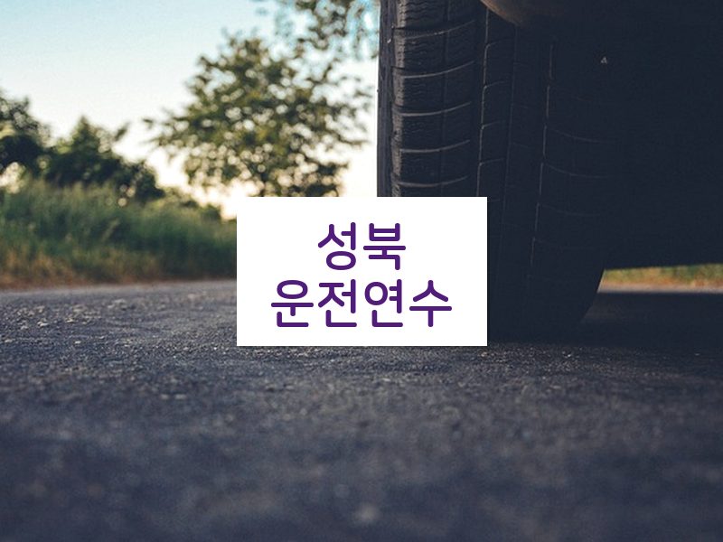 성북운전연수 후기