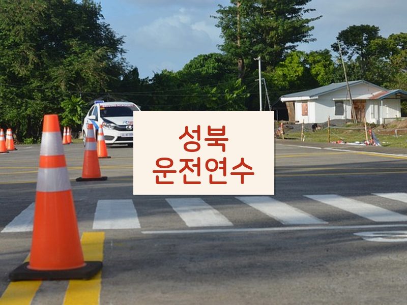 성북운전연수 후기