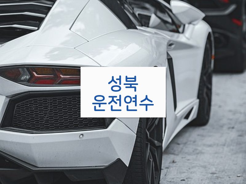성북운전연수 후기