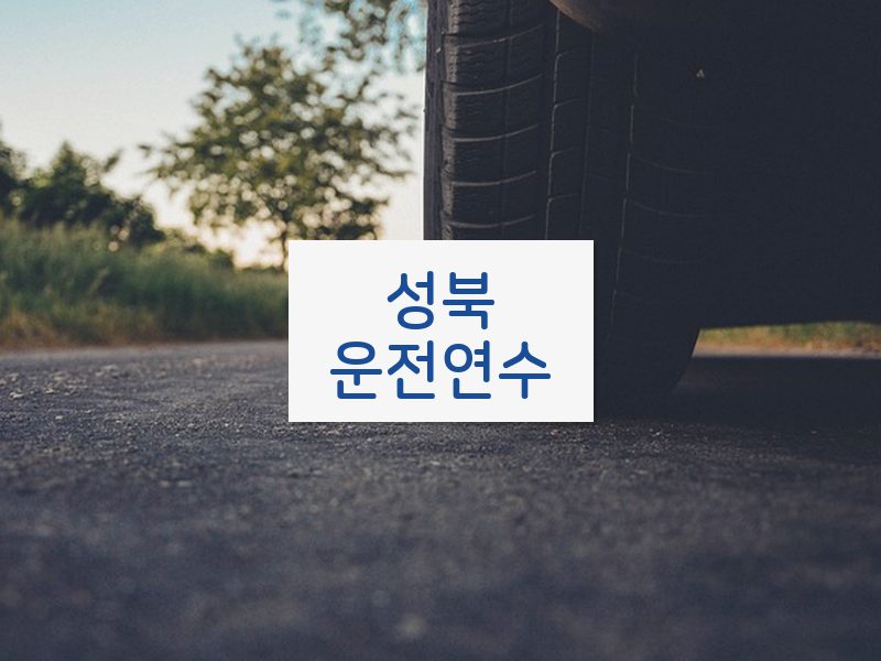 성북운전연수 후기