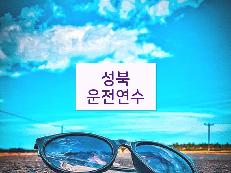 성북운전연수 후기