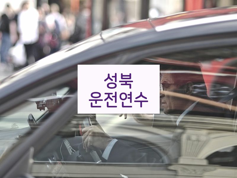 성북운전연수 후기