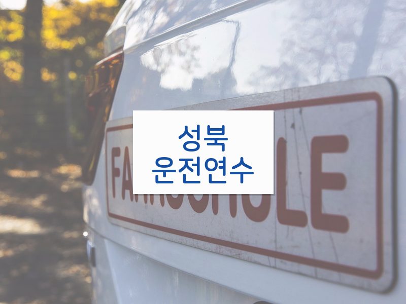 성북운전연수 후기