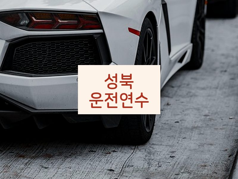 성북운전연수 후기