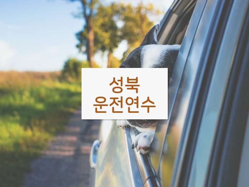 성북운전연수 후기
