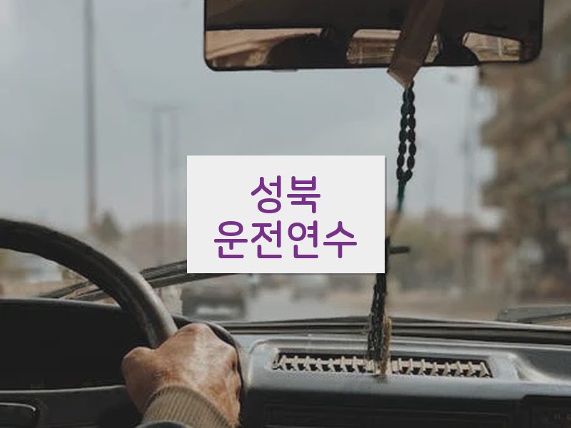 성북운전연수 후기