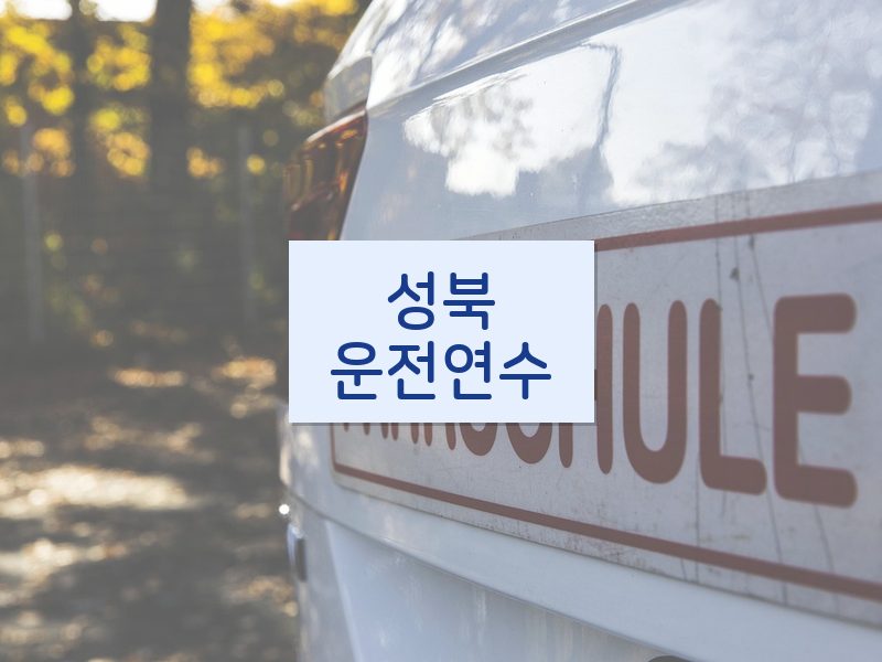 성북운전연수 후기