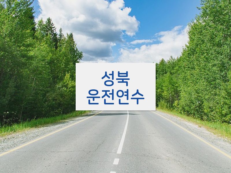 성북운전연수 후기
