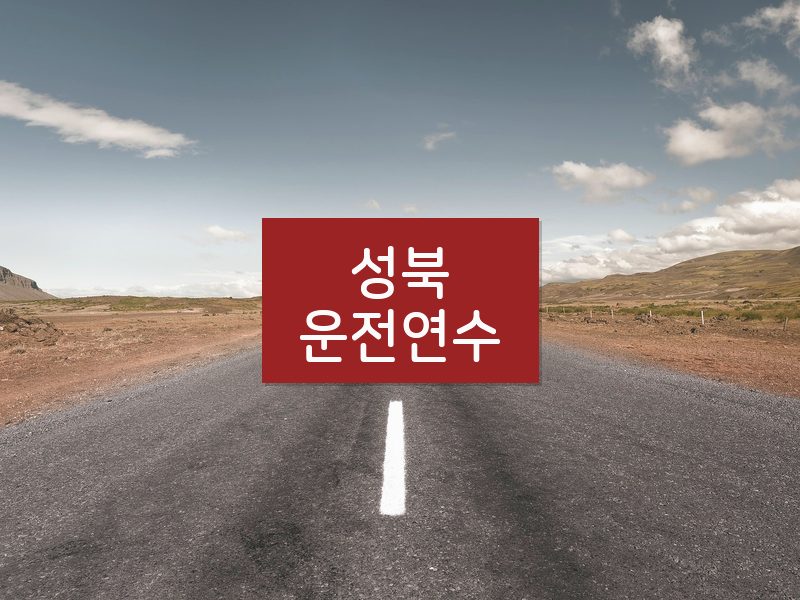 성북운전연수 후기