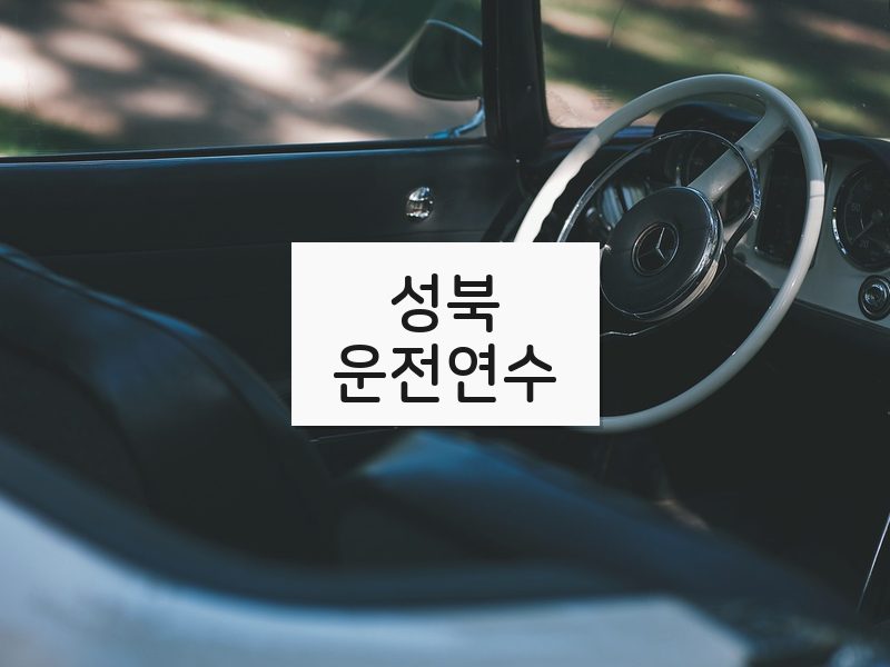 성북운전연수 후기