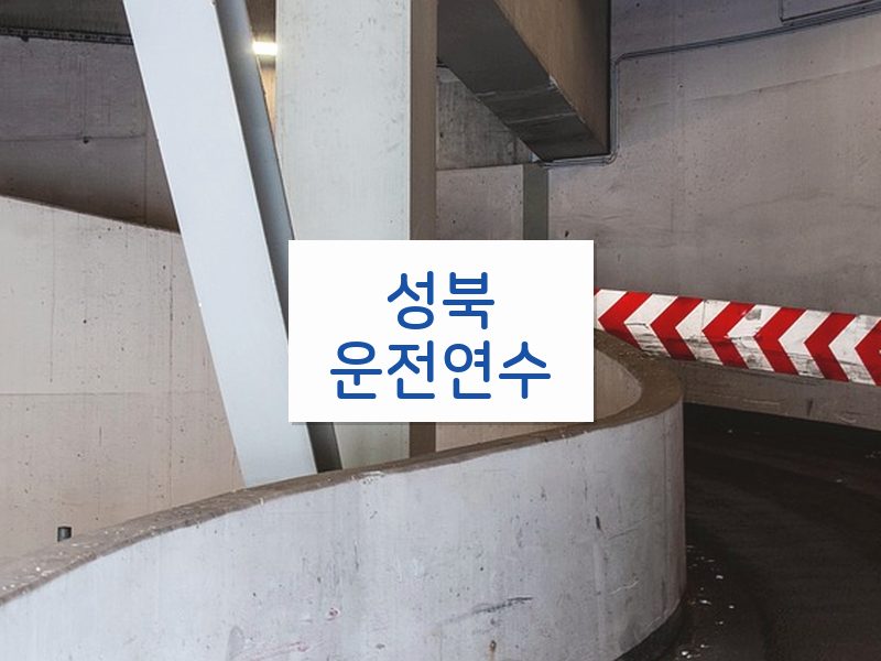 성북운전연수 후기