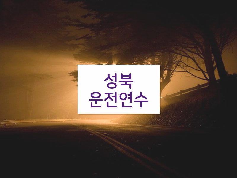 성북운전연수 후기