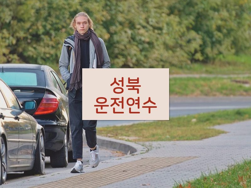 성북운전연수 후기