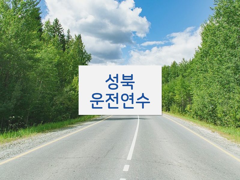 성북운전연수 후기