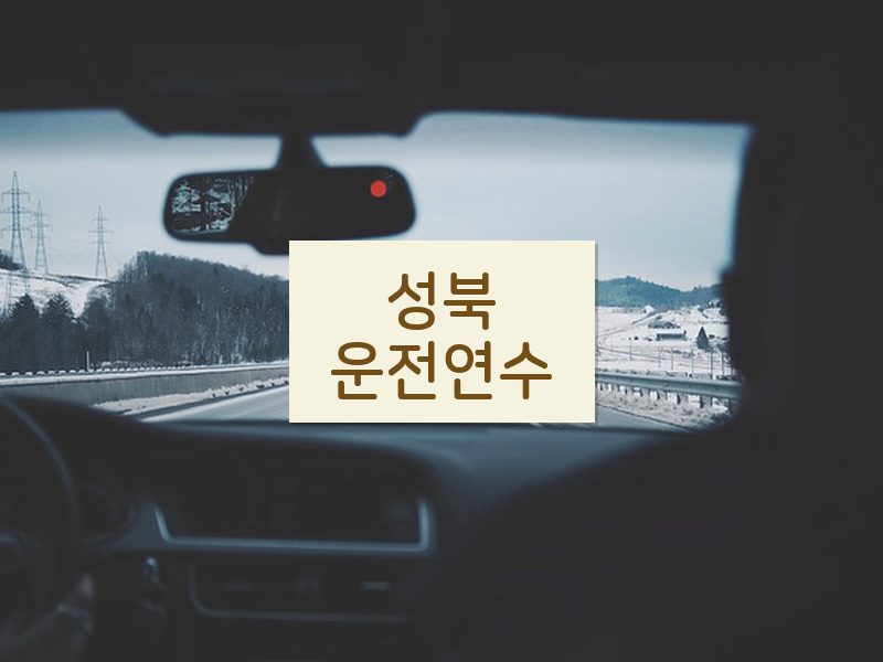 성북운전연수 후기