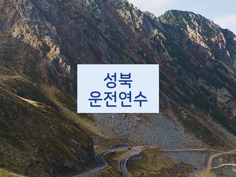 성북운전연수 후기