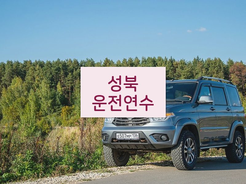 성북운전연수 후기