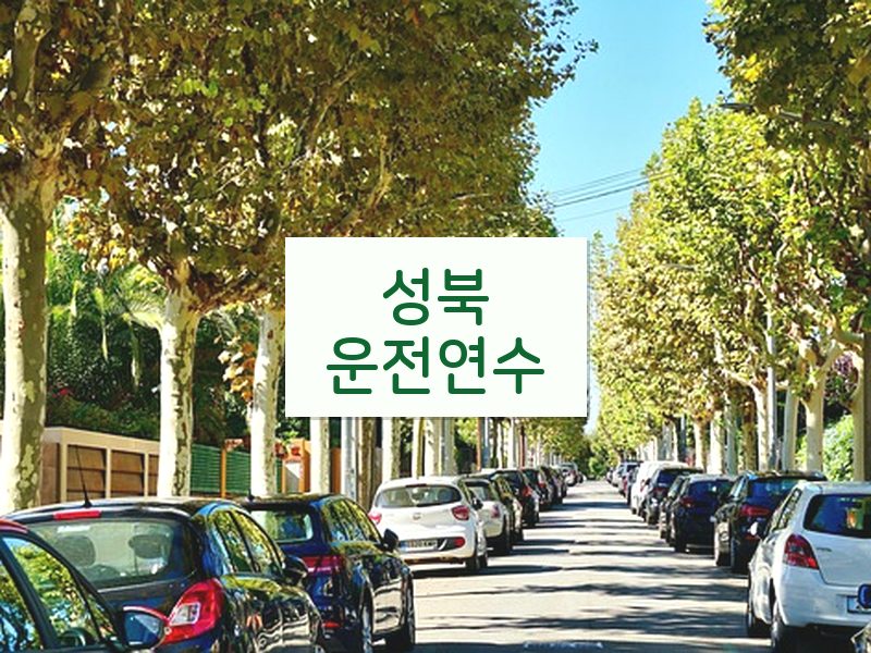 성북운전연수 후기