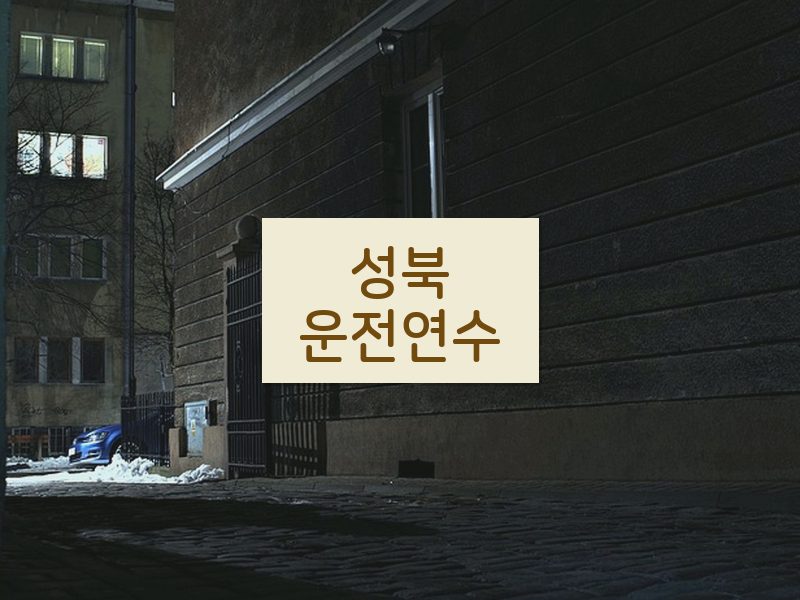 성북운전연수 후기