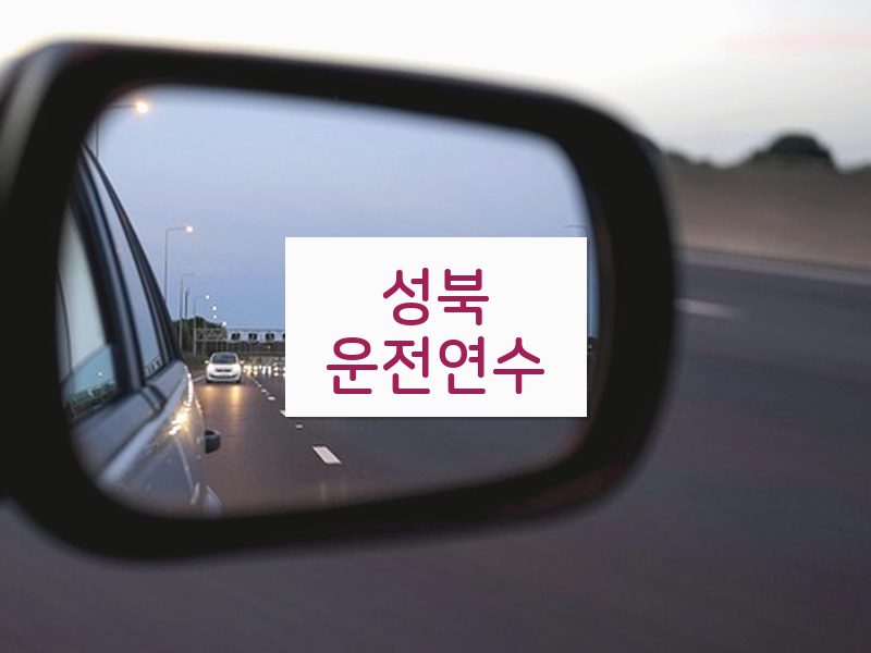 성북운전연수 후기