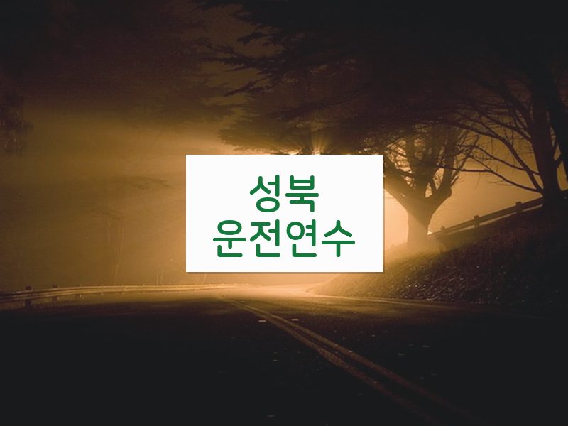 성북운전연수 후기