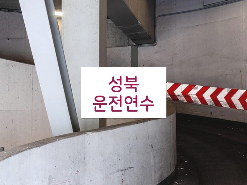성북운전연수 후기