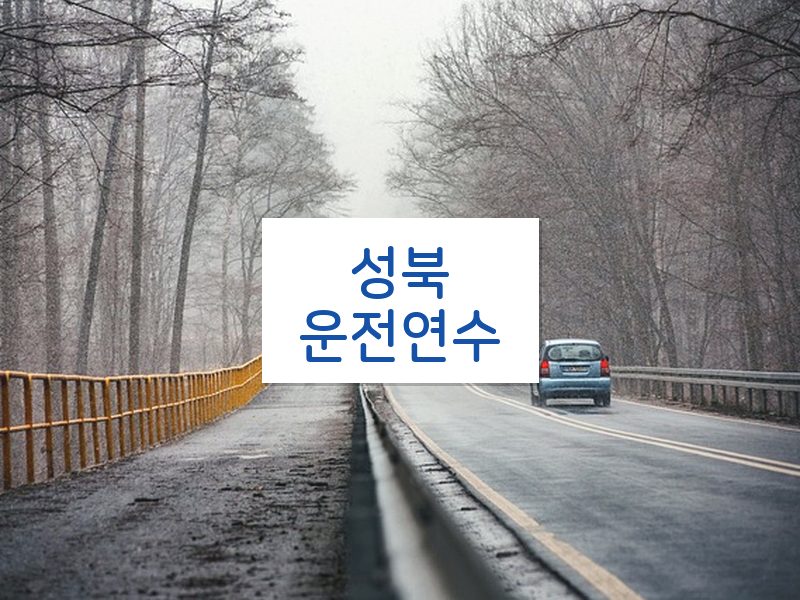 성북운전연수 후기
