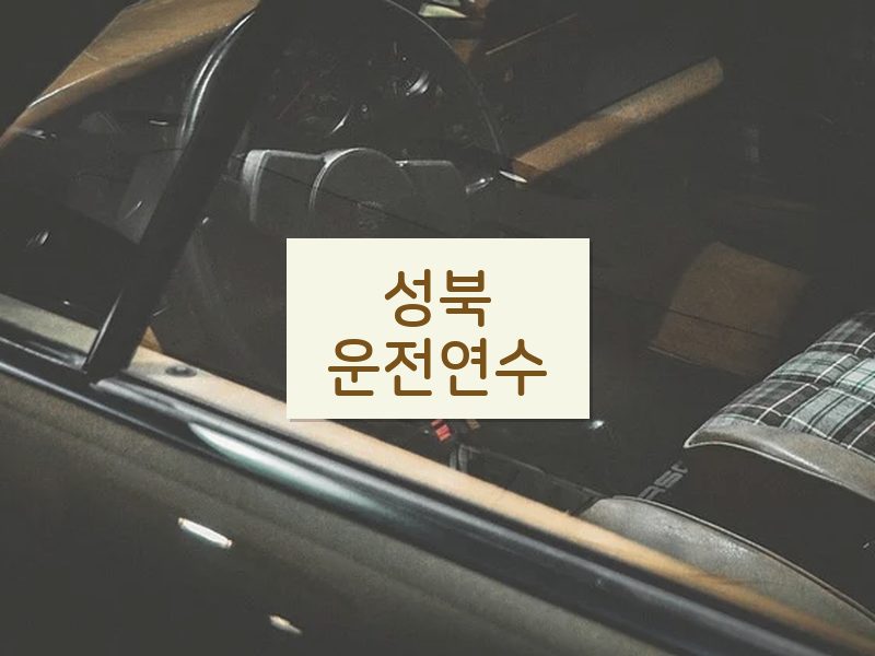성북운전연수 후기