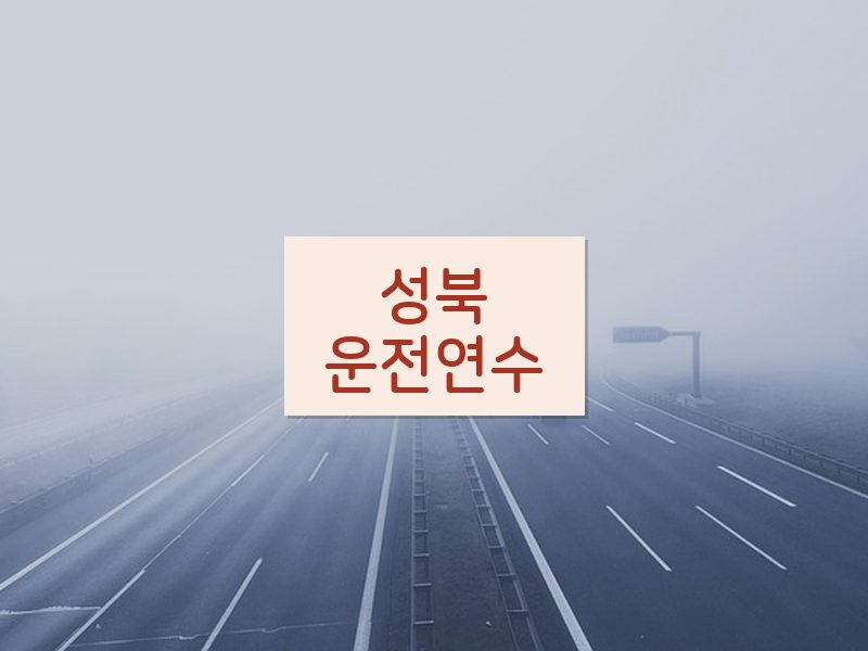 성북운전연수 후기