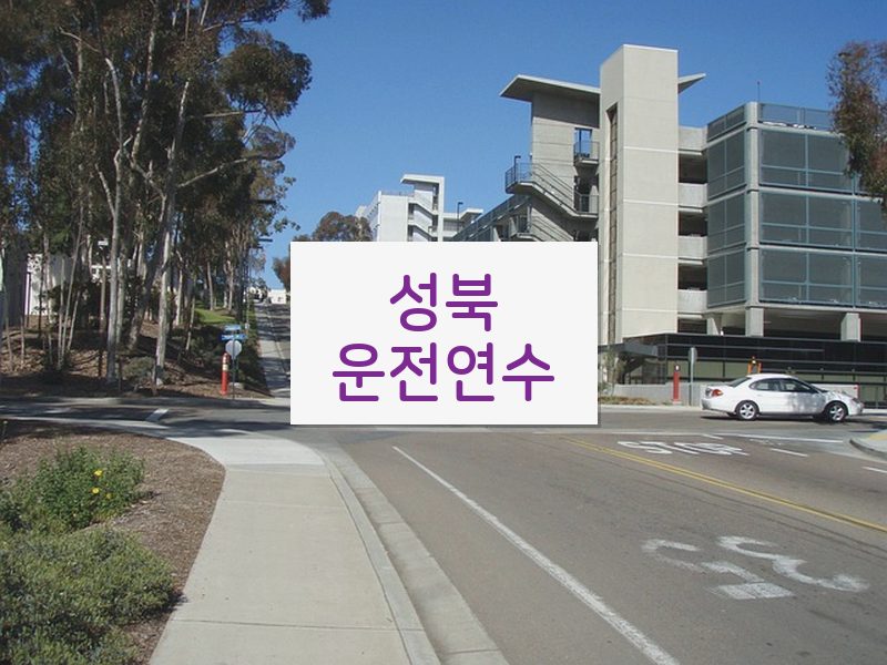 성북운전연수 후기