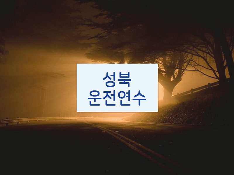 성북운전연수 후기