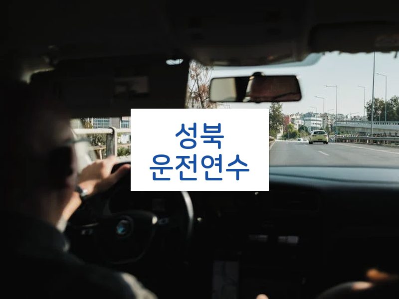 성북운전연수 후기