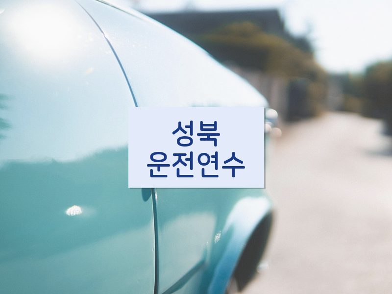 성북운전연수 후기