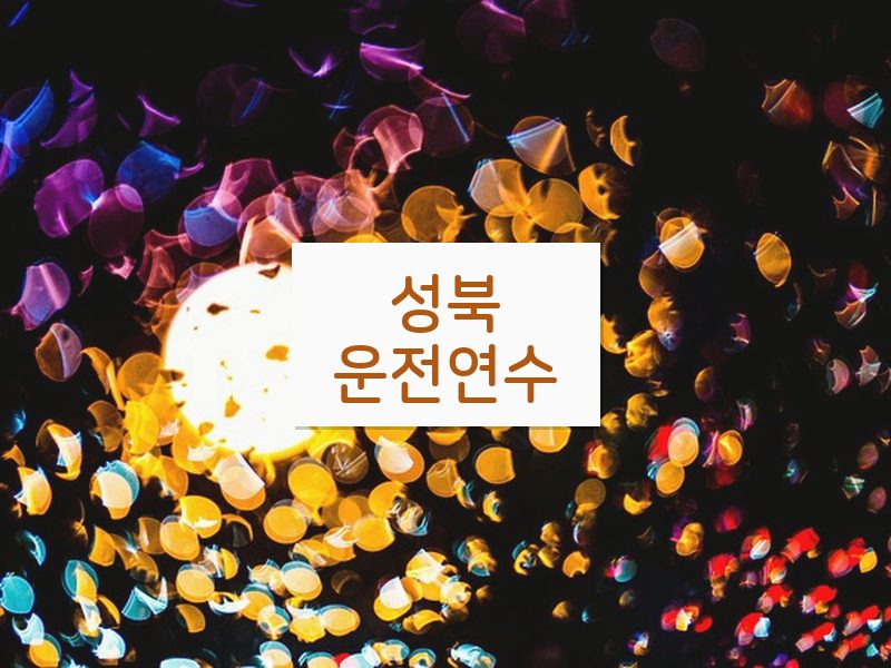 성북운전연수 후기
