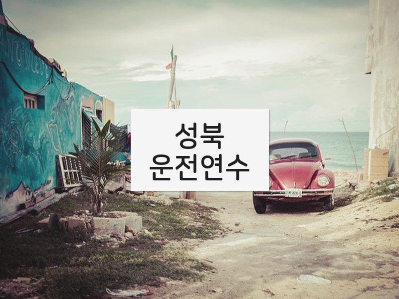성북운전연수 후기