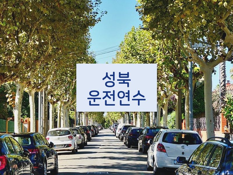 성북운전연수 후기