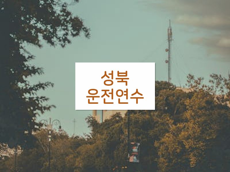 성북운전연수 후기