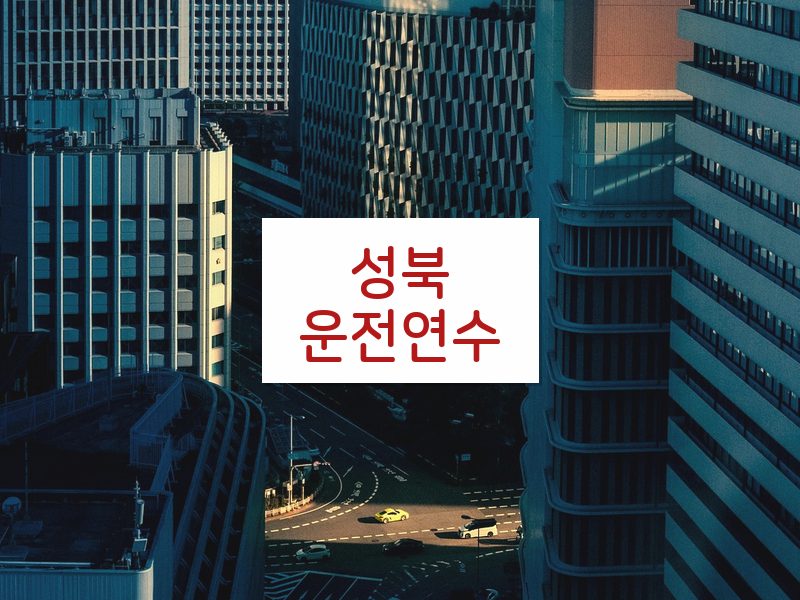 성북운전연수 후기