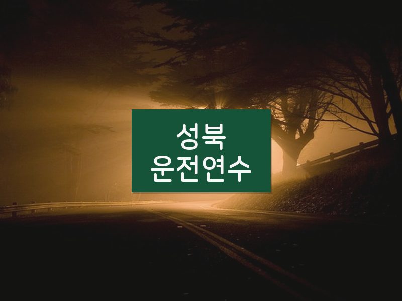 성북운전연수 후기